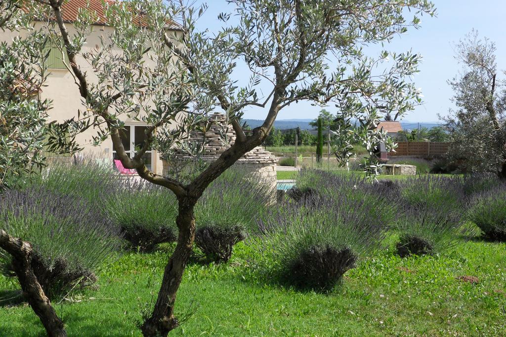 Вилла Les Jardins De Bouteille Маноск Номер фото
